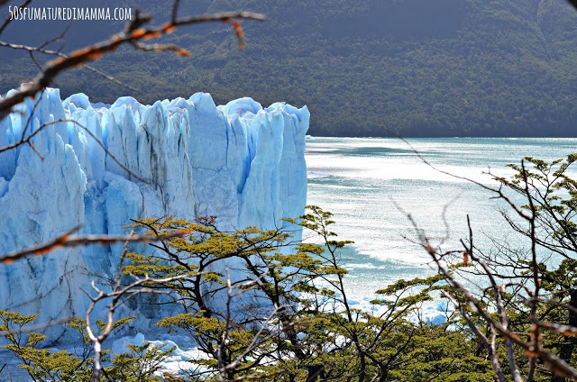 perito moreno con bambini