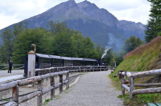 terra del fuoco con bambini