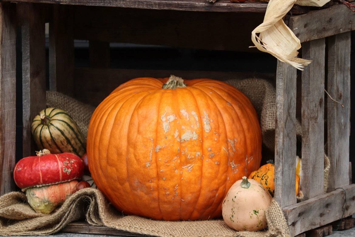 lavoretti per halloween